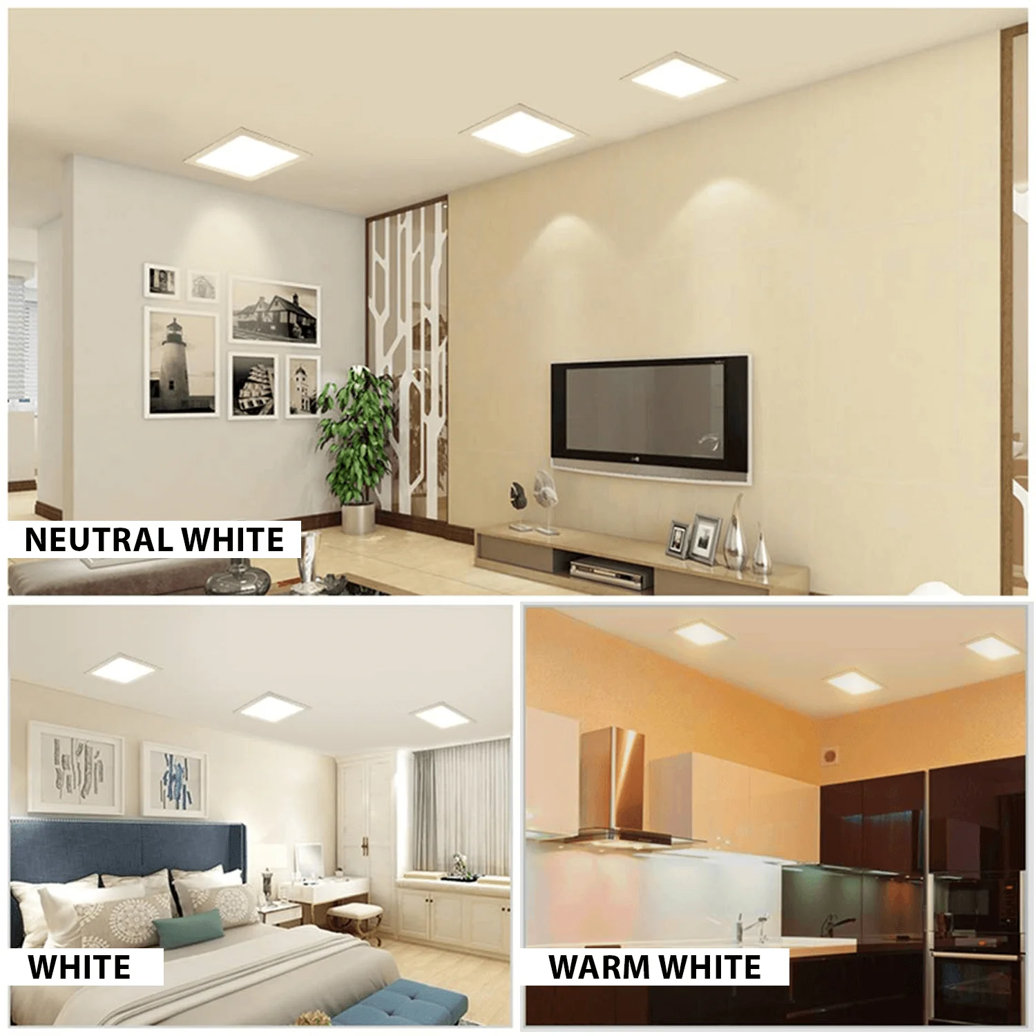 Premium Light Series Product 28